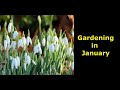Gardening in January - Kildare County Council Healthy Ireland Initiative