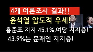 [문틀란 TV]  4개 여론조사!! 윤석열 압도적 우세! 홍준표 지지 45.1%는 여당 지지층! 43.9%는 문재인 지지층!