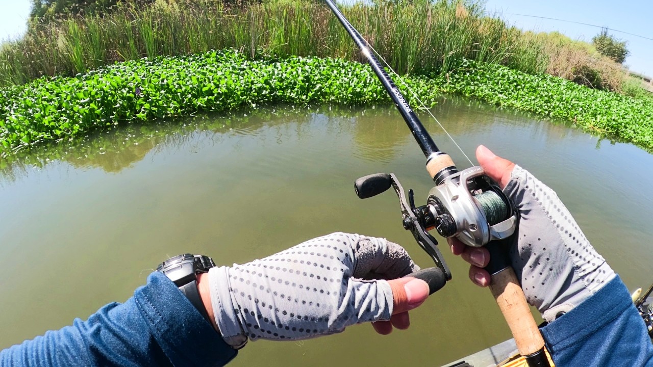 Just A Summer Day Bass Fishing