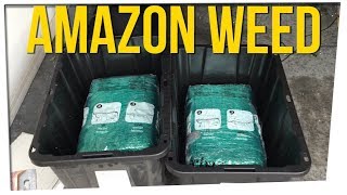 Couple Discovers 65lbs of Weed in Amazon Order ft. DavidSoComedy