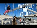 On vit sur un voilier avec notre chien  dbuter en voilier 