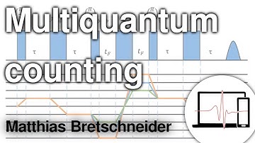 Multiquantum Counting of Trityl radicals | Matthias Bretschneider