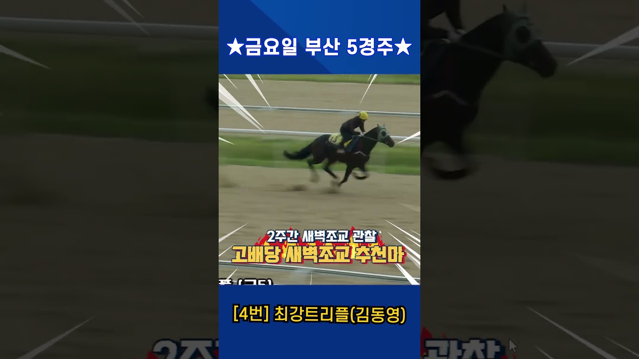 7월17일 금요일 부산 5경주!! 2주간 훈련보인 강백호의 새벽조교 쏘스마!!