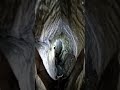 This Cave Had Thousands of Bats 😨 #cavelife #exploration #shorts