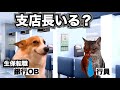 銀行に突然訪問してくるOBの正体【生保の人】