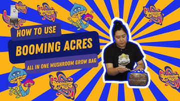 How to use a Booming Acres All In One Mushroom Grow Bag