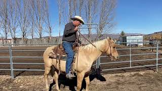 Opening and Closing Gates horseback
