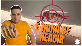 DENGUE Estamos Fazendo o Suficiente para Combater essa Epidemia