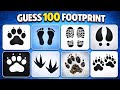 Guess The  Footprint In 3 Seconds, 100 Animol Footprint Challenge! 🐾