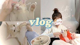 vlog | meet my first kitty 🐈 Kitten's first day home 🏠 我终于有猫啦^^成为新手铲屎官| loffi snow by LoffiSnow 10,616 views 1 year ago 14 minutes, 46 seconds