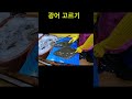 광어 고르기