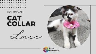 DIY PET | How To Make a Cat Collar from Lace | Simple & Easy