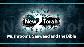 Mushrooms, Seaweed And The Bible