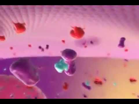 جنون البقر التغيرات الباثولوجية في أعصاب الأبقار المصابة