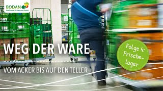 Weg Der Ware - Teil 4 Frischelager