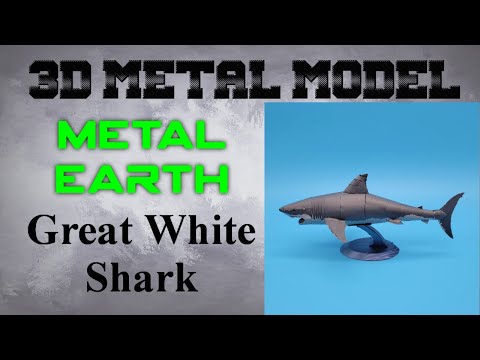 Metal Earth Build - Great White Shark