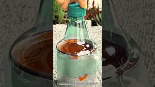 Best Innovation DIY Paint Tool: How to Store and Pour Paint Cleanly