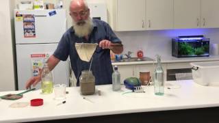 Perth Cichlid Society - Decapsulating Brine Shrimp - Part 1