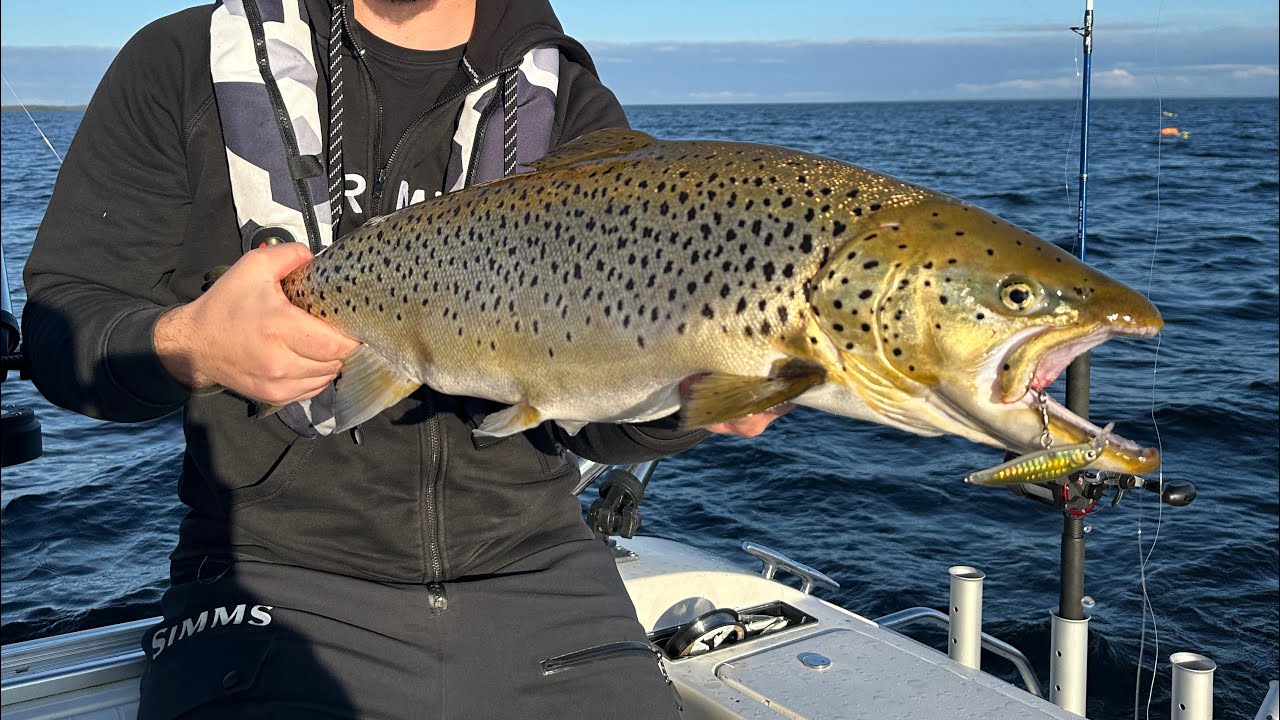Oktoberfiske på Vänern