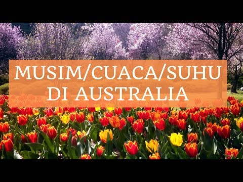 Video: Iklim Unik Australia: Musim Panas Pada Musim Sejuk Dan Musim Bunga Pada Musim Luruh