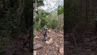 explore forest #explore #tracking
