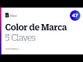 Cómo elegir COLOR de MARCA ::: BRANDING