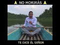 No morirás en tu prueba