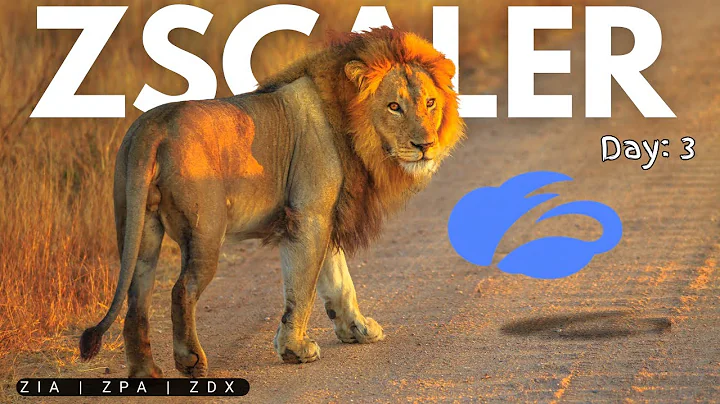 Day 3: Zscaler Training | ZIA | ZPA | ZDX