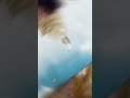واليت عليا منذ أن هـتـف والدي بـمسامعي أشهد أن عليـا ولـي الله ستوريات عيد الغدير واليت عليا منذ أن هـتـف والدي بـمسامعي أشهد أن عليـا ولـي الله ستوريات عيد الغدير