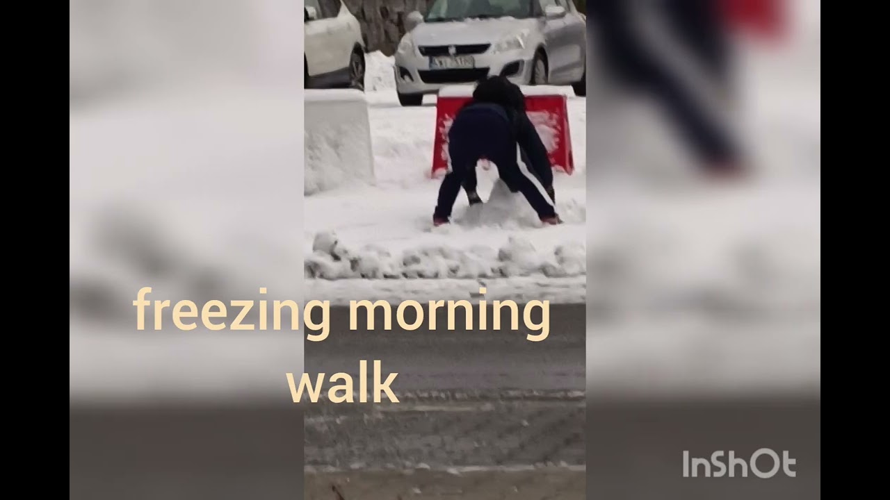 freezing walk @cold morning🥶