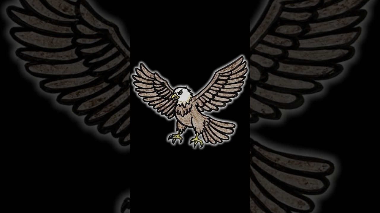 🦅 Bald Eagle 