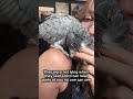 They weren’t lying 🥲 #parrot #birds #bff #cressi #africangrey