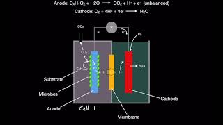 Microbial Fuel Cells Introduction (MFC's pt. 1)