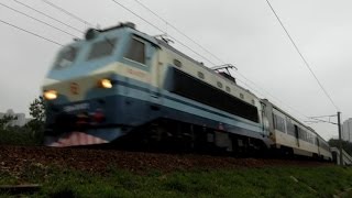 {ICTT} SS8 0181 hauling Z815 through train passing Tong Hang