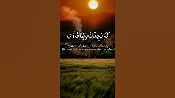 سورة الضحى #محمد_الفقيه #القران_الكريم #سورة_الضحى