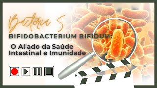 Bifidobacterium Bifidum O Aliado Para A Saúde Intestinal E Mental