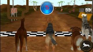 Real Wild Dog Racing 3D Simulator 2016 iOS Gameplay screenshot 5