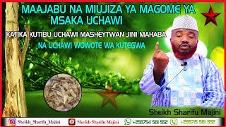 MAAJABU NA MIUJIZA YA MAGOME YA MSAKA UCHAWI | KATIKA KUTIBU UCHAWI MASHEYTWAN JINNI MAHABA | SHARIF