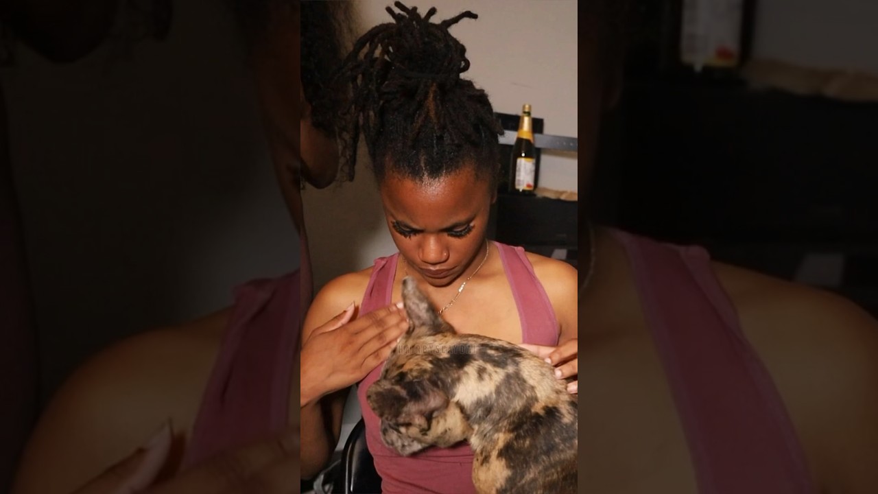 Wig Install Over Locs 