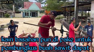 Part 179” kain basahan pun di pake untuk pembungkus buah sawit dapat