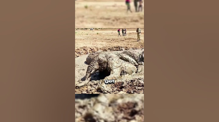 Nature’s Ultimate Trap – Can You Escape? #interesting #quicksand