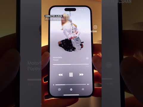 Every features to