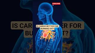 Cardio vs Heavy Lifting Which One Actually Burns More Fat