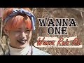 WANNA ONE Wanna Ruin Us Funny Moments 