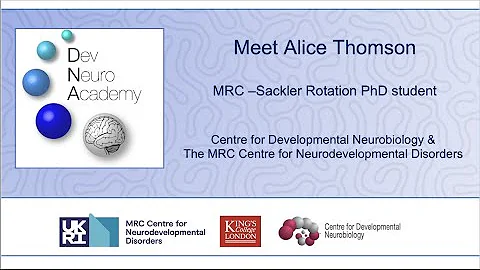 Introducing Alice Thomson