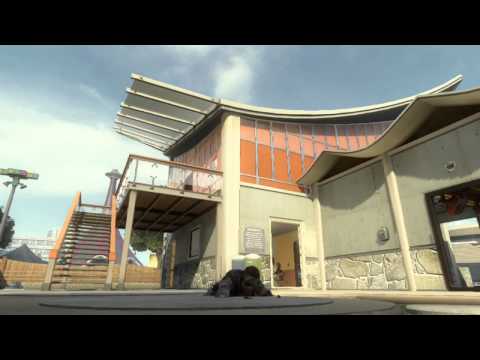 ダイビングトロフィーS cod bo2