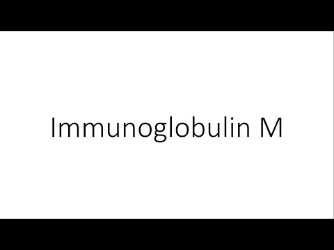 Immunoglobulin M (IgM) - Immunology