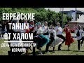 День независимости Израиля - еврейские танцы от Халом