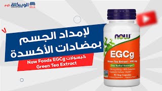 كبسولات شاي اخضر إيبيجالوكاتشين Now Foods EGCg Green Tea Extract  لعلاج الالتهابات في الجسم