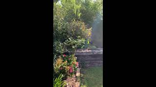 Perbeck Rockery Pond Build